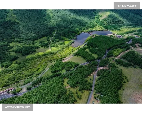 探索永歌森林深处的秘境之旅与绿意时光体验指南 探索永歌森林深处的秘境之旅与绿意时光体验指南