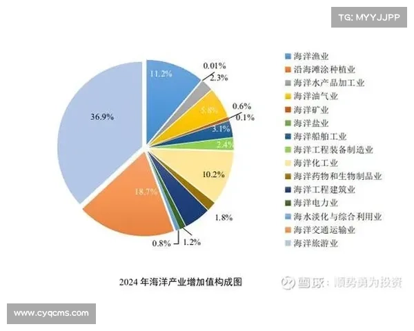如何制定科学投资策略在欧洲杯中实现收益最大化的关键分析方法